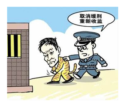 不適用緩刑的八種犯罪是什么